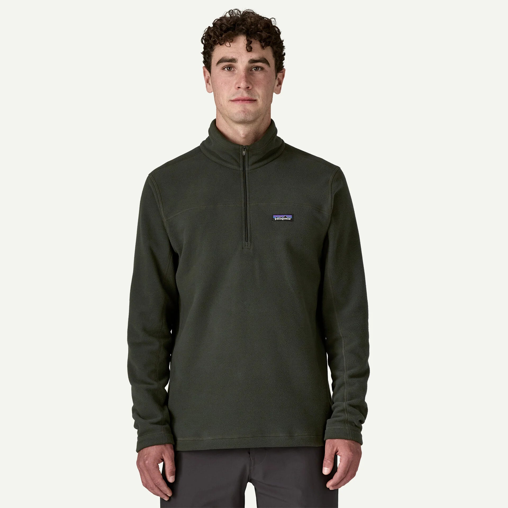 Patagonia Men's Micro D Fleece Pullover