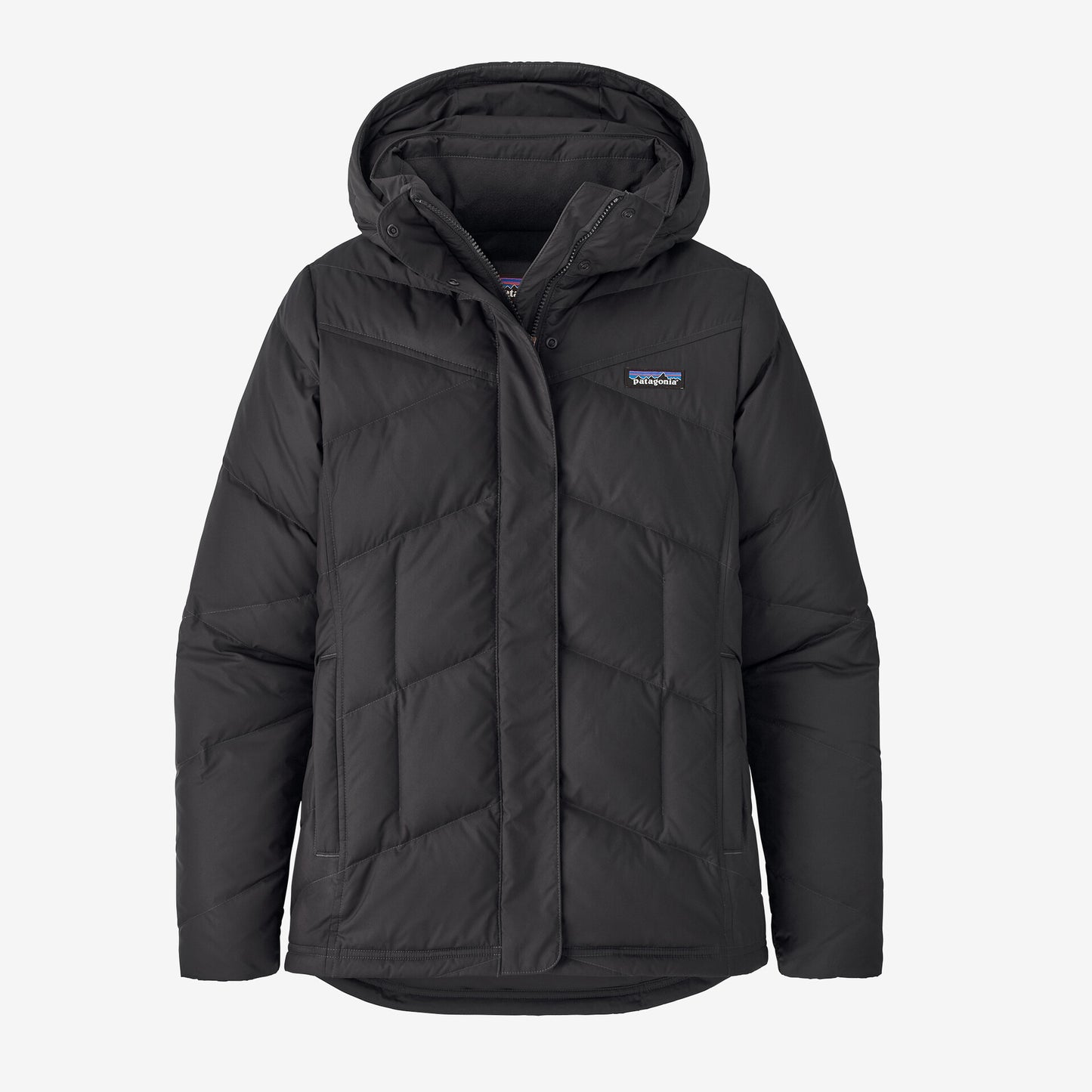 Patagonia Women's Down With It Jacket