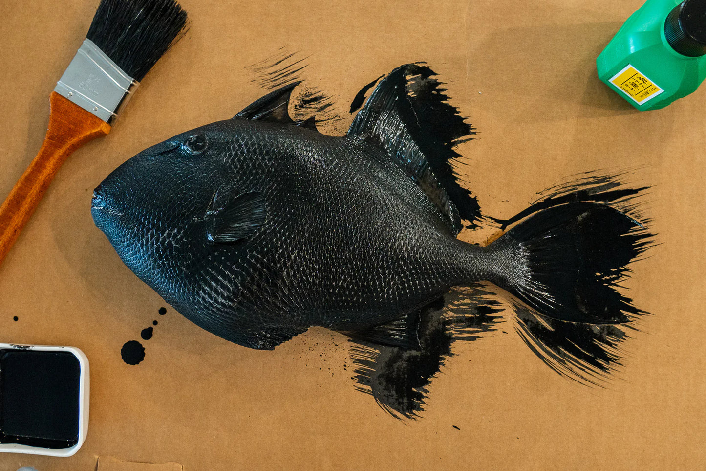 IKO Gyotaku Fish Printing Kit